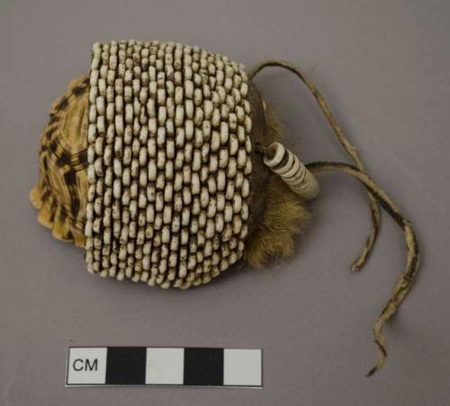 Tortoise shell ornament with ostrich eggshell decoration - worn by women; containing powder used for dusting selves