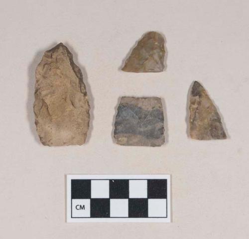 Chipped stone, projectile point, ovate; chipped stone, projectile point fragments