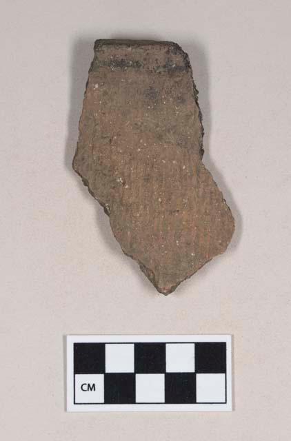 Ceramic, earthenware rim sherd, cord-impressed, shell-tempered