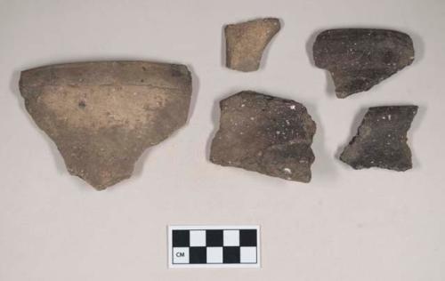 Ceramic, earthenware rim sherds and one handle sherd, undecorated, shell-tempered