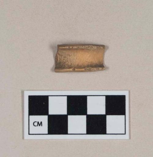 Worked animal bone fragment, curved, possibly notched