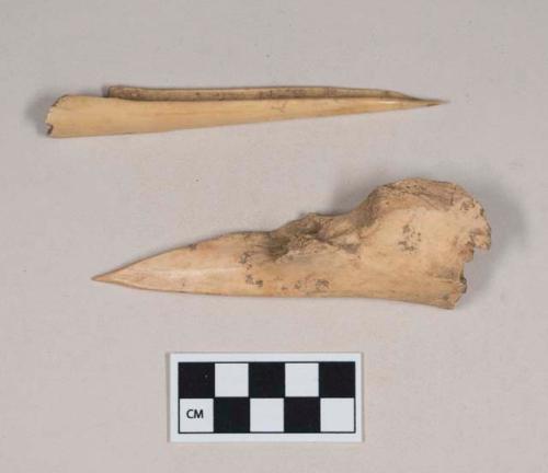 Worked animal bone awl fragments