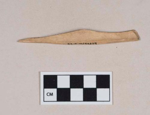 Worked animal bone awl fragment