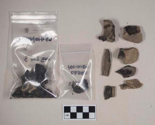 Animal bone fragments, partially burned; burned walnut fragments; burned floral remains