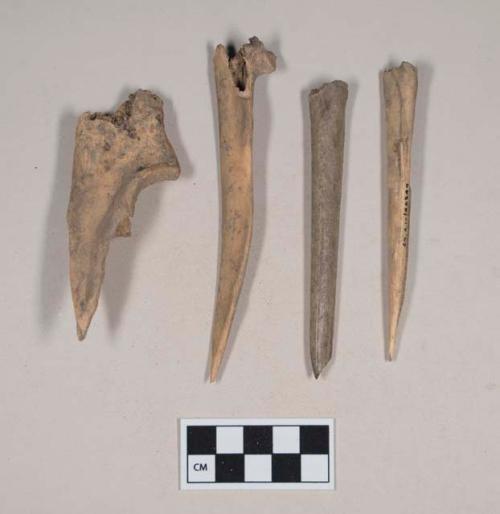 Worked animal bone awl fragments