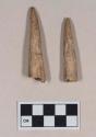 antler points, drilled on one end, polished