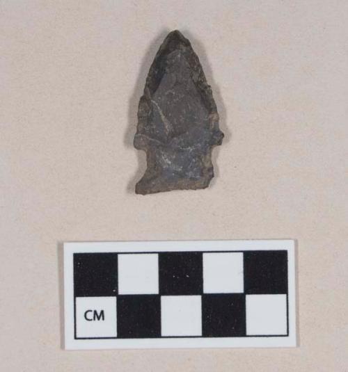 Chipped stone, projectile point, side-notched