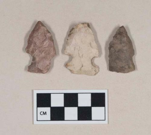 Chipped stone, projectile points, side-notched, one possibly reworked