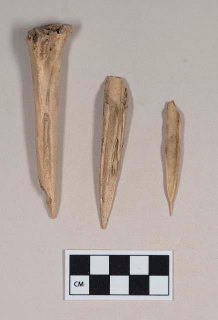 Worked animal bone awl fragments