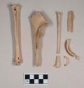 Animal bones, including ulna fragment; rodent teeth fragments, two fragments crossmend; bird bones, including tarsometatarsus, two long bone fragments crossmend
