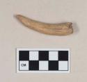 Worked antler fragment