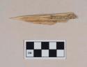 Worked bird bone awl fragment