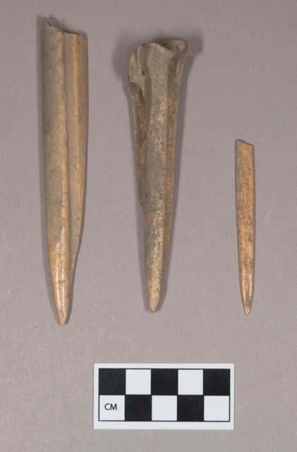 Worked animal bone awl and awl fragments