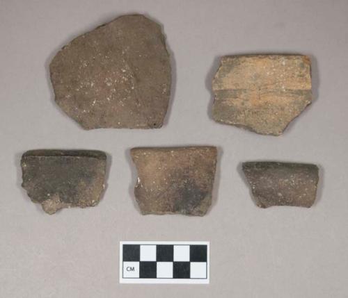 Ceramic, earthenware rim and body sherds, undecorated, shell-tempered