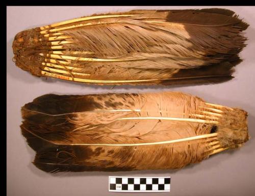 Eagle tails colored with dry mineral paint, carried by shaman