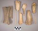Animal bones and bone fragments, including ulna, calcaneus, scapula, long bones, some possibly butchered or broken; bird bone fragment; worked animal bone fragment