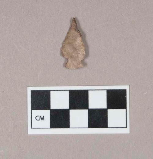 Chipped stone, projectile point, side-notched, with cortex