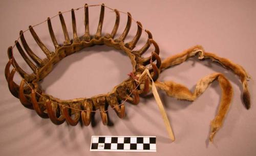 Shaman's grisly bear claw crown