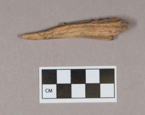 Worked antler tip fragment