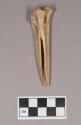 Worked animal bone fragment, possible awl, cut marks around top