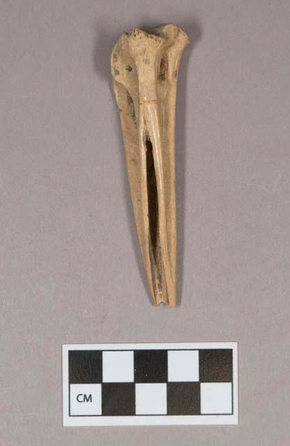 Worked animal bone fragment, possible awl, cut marks around top