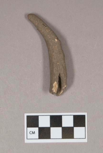 Antler tip fragment