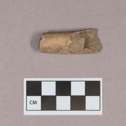 Cut antler fragment