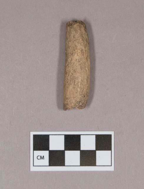 Worked antler fragment