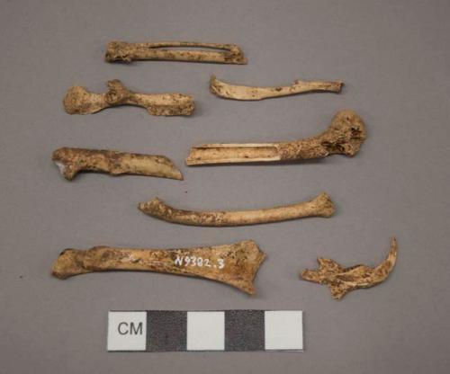 Bones, faunal remains of rodent?, including mostly long bones and one mandible fragment