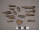 Faunal Remains, possibly Canis