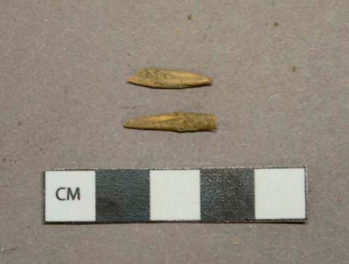 Bone fragments, likely fish