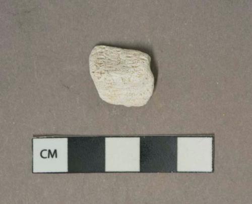 White mortar fragment, visible coral