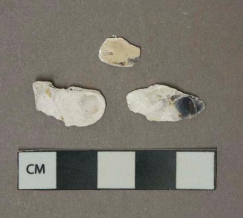 White shell fragment, heavily degraded