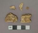 Unidentified mammal bone fragments