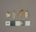 Unidentified calcined mammal bone fragments