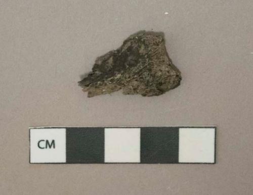 Burned coal fragment