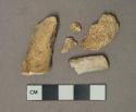 Unidentified mammal bone fragments, 1 calcined