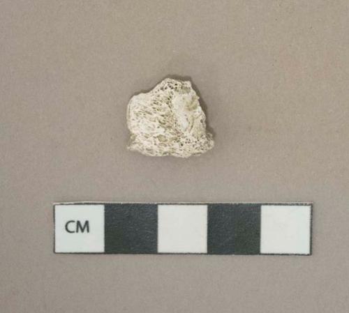 Unidentified calcined mammal bone fragment