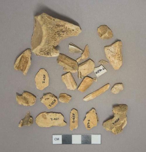 Unidentified mammal bone fragments, 2 calcined