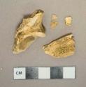 Unidentified mammal bone fragments, degraded