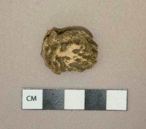 Walnut shell fragment