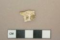 White unidentified shell fragment, heavily degraded