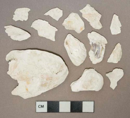 White undecorated shell fragments, heavily degraded