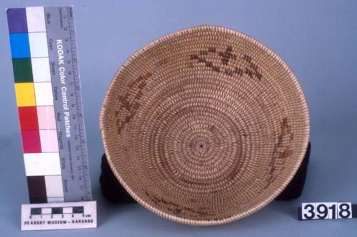 Small coiled basketry bowl