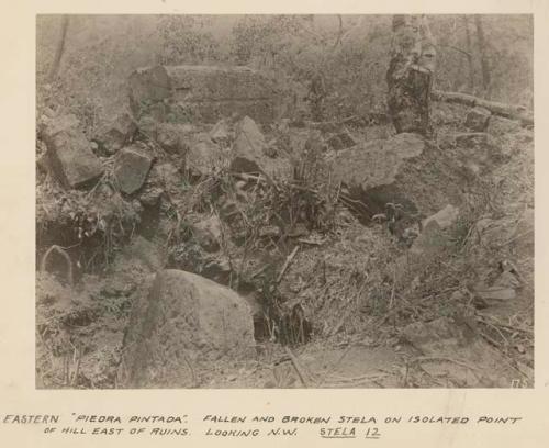 Fallen and broken Stela 12 on isolated point of hill east of ruins