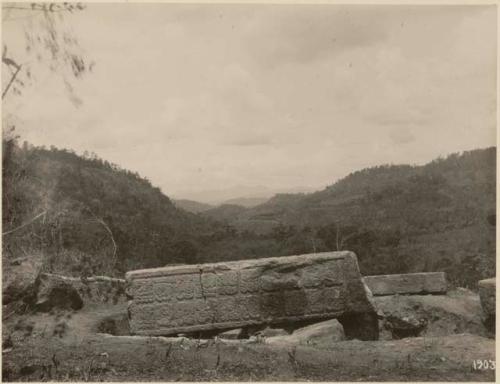 Stela 13 and Copan Valley, looking southwest