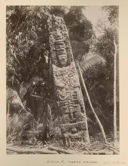 Stela 5, north front