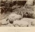 Carved stone shaped like animal's head in bush