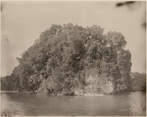 Rock in Lake Yzabal