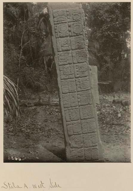 Stela A, west side